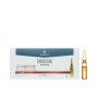 Endocare Ampollas sin aceite ENDOCARE RADIANCE C20 PROTEOGLICANOS