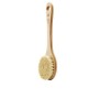 The Body Shop CACTUS brosse à manche long 1u