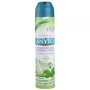 Sanytol Mint Disinfectant Air Freshener 300ml