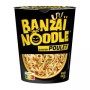 Instant Noodles Chicken Flavor 67g - PANZANI