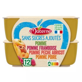 Variegated compote 4 flavors No Added Sugar 12x100g - MATERNE