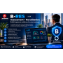 B-RES — Diagnosis + Revalidation v1.1.0