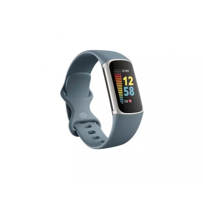 Reloj inteligente Fitbit MORGAN Acero Azul